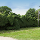 Illustration for article titled Retired man sculpts hedge into a 100-foot-long dragon